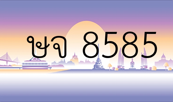 ษจ 8585